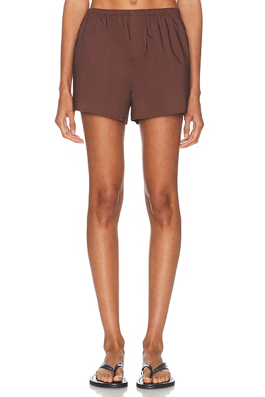Aven Short