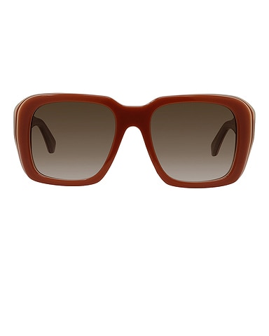 Signature Sunglasses