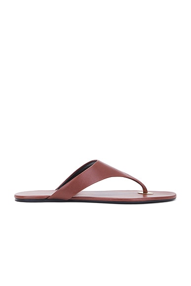 Kouros Flat Sandal in Cigar